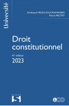 Droit constitutionnel. 41e ed.