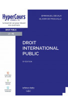 Droit international public 13ed