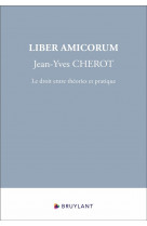 Liber amicorum jean-yves cherot - le droit entre theories et pratique