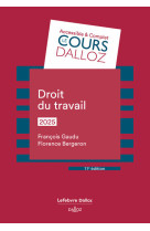 Droit du travail 2025. 11e éd.