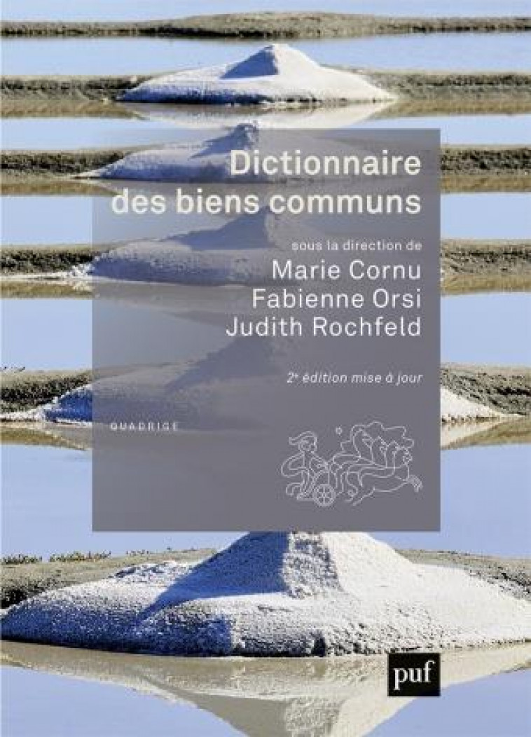 DICTIONNAIRE DES BIENS COMMUNS - CORNU MARIE - PUF
