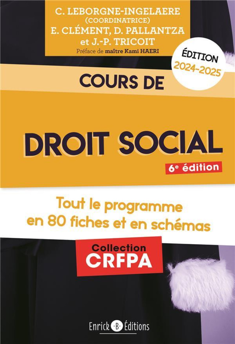 COURS DE DROIT SOCIAL 2024-2025 - TOUT LE PROGRAMME EN 80 FICHES ET EN SCHEMAS - LEBORGNE-INGELAERE - ENRICK